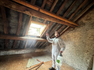 Photo de galerie - Charpente