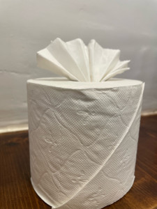 Photo de galerie - Lingerie - Repassage