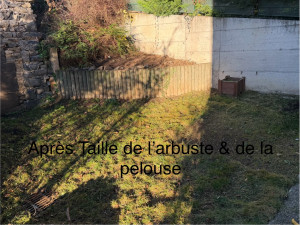 Photo de galerie - Taille & Tonte de pelouse 