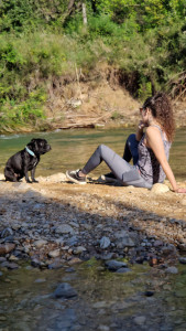 Photo de galerie - .