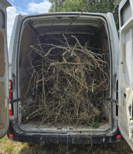 Photo de galerie - Evacuation de branche est tout autre encombrant 