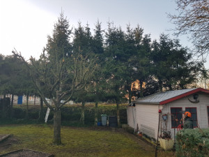 Photo de galerie - Avant réduction de la hauteur