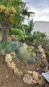Photo de galerie -  creation d’un massif avec petit bassin 