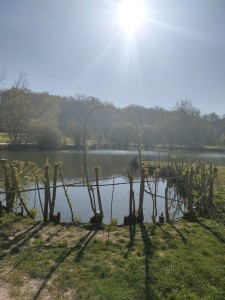 Photo de galerie - Jardinier