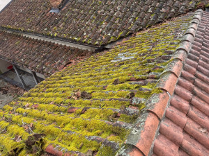 Photo de galerie - Demoussage et entretien couverture