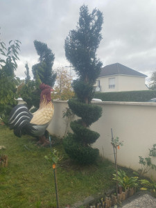 Photo de galerie - Maintenant 