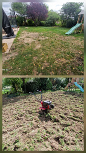 Photo de galerie - Motoculteur 