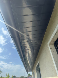 Photo de galerie - Gouttières et caches moineaux