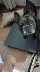 Photo de galerie - Au réveil, je suis pressé que nous partions