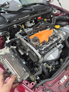 Photo de galerie - Distribution pompe a eau 