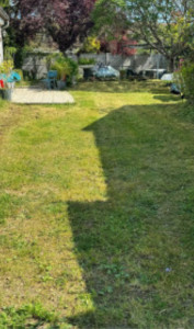 Photo de galerie - Tonte 