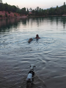 Photo de galerie - Activité : Baignade au Lac 

Exemple d'activité pendant le séjour de vos loulous 