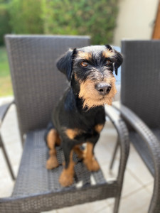 Photo de galerie - Oly