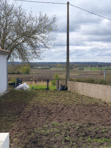 Photo de galerie - Tonte de pelouse - Débroussaillage