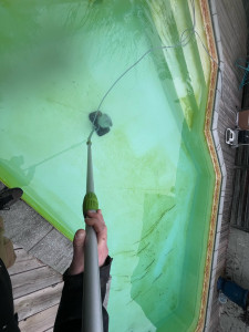 Photo de galerie - Nettoyage bassin et rééquilibrage de l’eau