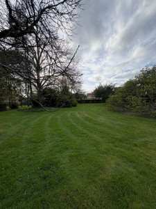 Photo de galerie - Tonte de pelouse 