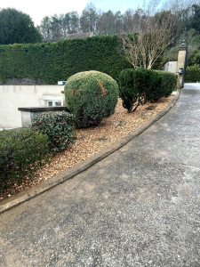 Photo de galerie - Paysagiste - Aménagement du jardin