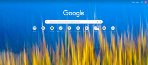 Photo de galerie - Internet sécurisé, sites officiels