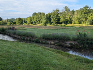Photo de galerie - Entretien 