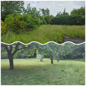 Photo de galerie - Tonte de pelouse - Débroussaillage