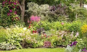 Photo de galerie - Jardinier