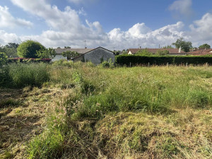 Photo de galerie - Gros nettoyage 