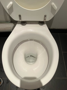 Photo de galerie - Nettoyage toilette