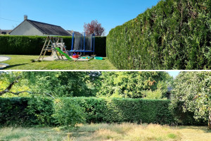 Photo de galerie - Taille de haies, tonte, désherbage, tronçonnage de branches si matériel mis à disposition