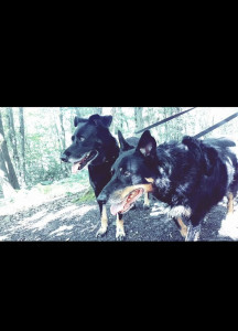 Photo de galerie - ❤️