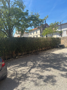 Photo de galerie - Taille de haies 