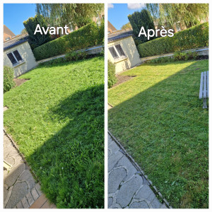 Photo de galerie - Avant/Après d'une prestation de tonte.