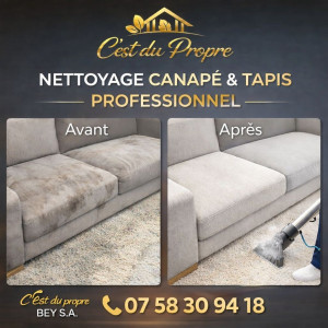 Photo de galerie - Nettoyage canape matelas tapis 