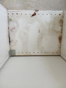 Photo de galerie - Ménage