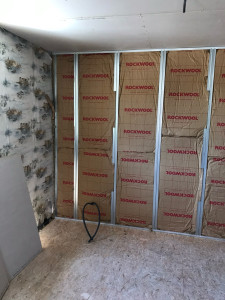 Photo de galerie - Isolation 