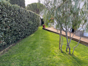 Photo de galerie - Tonte de pelouse