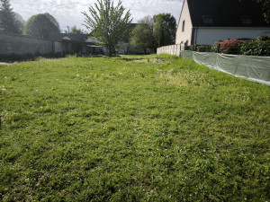 Photo de galerie - Tonte terrain 