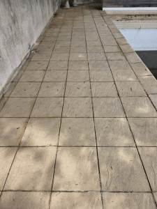 Photo de galerie - Nettoyage piscine (Aprés)