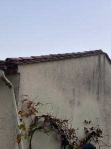 Photo de galerie - Début de changement de rives traditionnel 