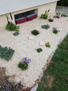 Photo de galerie - Aménagement d'un parterre 