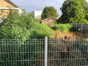 Photo de galerie - Débroussaillage terrain en friche 