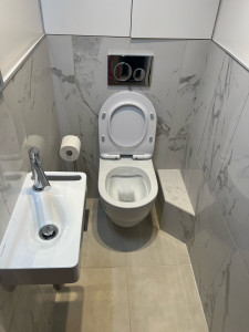 Photo de galerie - Toilettes suspendues avec petit lavabo 