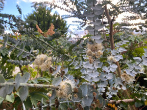 Photo de galerie - Mon jardin privé 