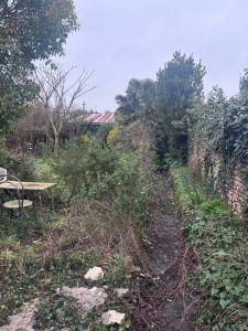 Photo de galerie - Remise en état de jardin avant 