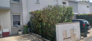 Photo de galerie - Taille de haies et d'arbustes