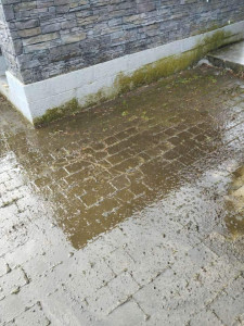 Photo de galerie - La terrasse avant le nettoyage