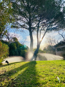 Photo de galerie - Paysagiste - Aménagement du jardin