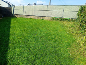 Photo de galerie - Tonte de gazon réalisée