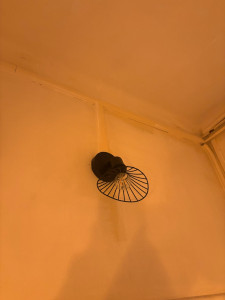 Photo de galerie - Pose de lustre 