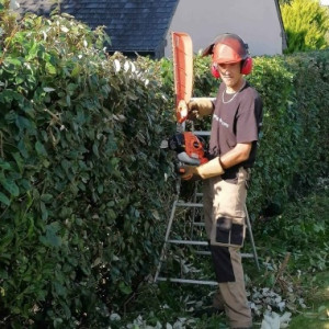 Photo de galerie - Taille de haies et d'arbustes