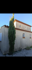 Photo de galerie - Elagage et coupe d'arbres